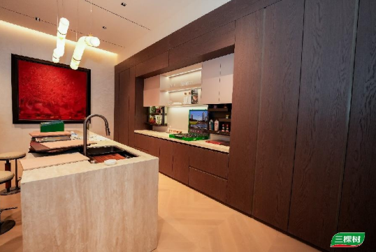 展会专访|三棵树小森板林承亮：以服务与美学突围，“好漆好板好空间”引领长期主义 中网行业信息网