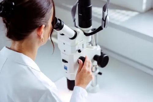 1.jpg 斯塔尔食品包装全线产品率先通过德国GIO法规认证,领跑食品包装安全新赛道 中网行业信息网