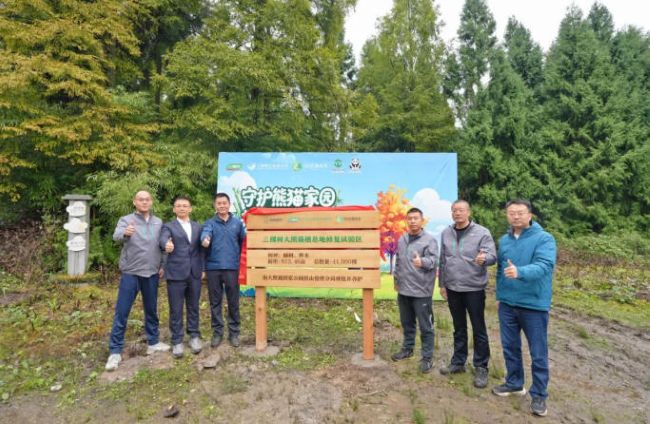 国际生物多样性日丨三棵树解锁公益新玩法，邀您为大熊猫家园添绿 中网行业信息网