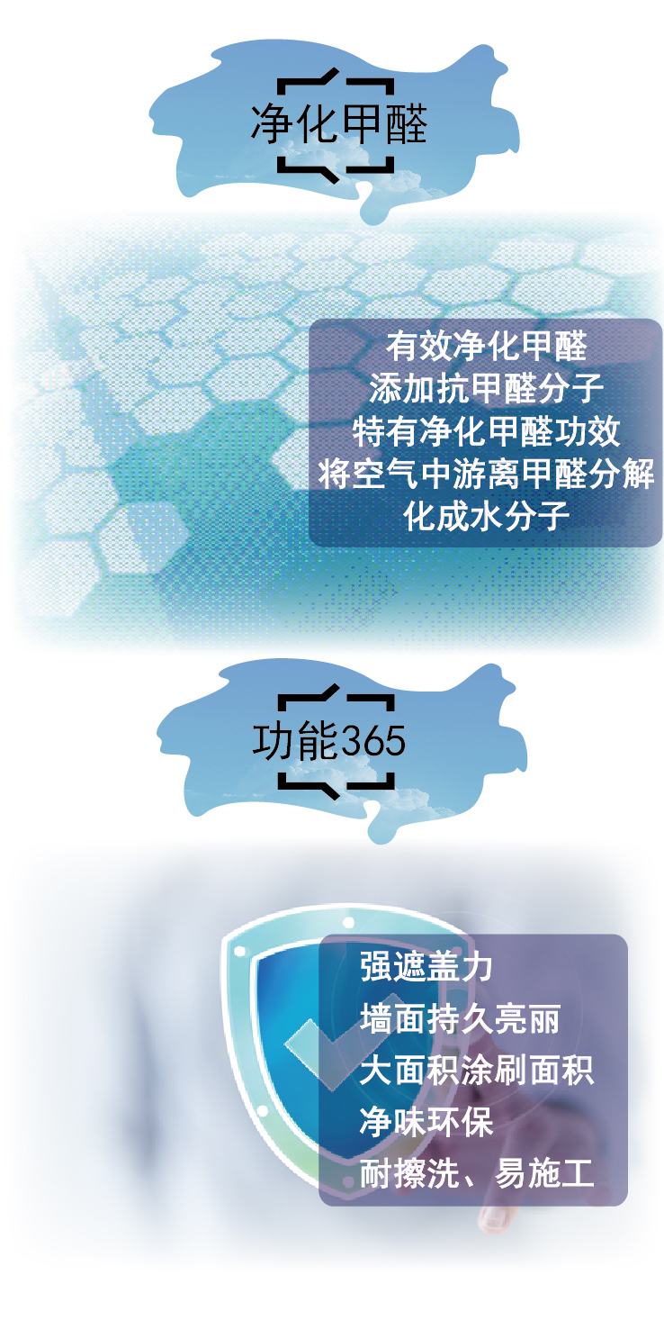 净化甲醛.jpg