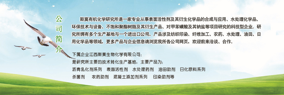公司简介