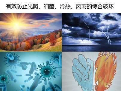 20190809/60da55445bdc7c6325dbf5e4c9e12514.png