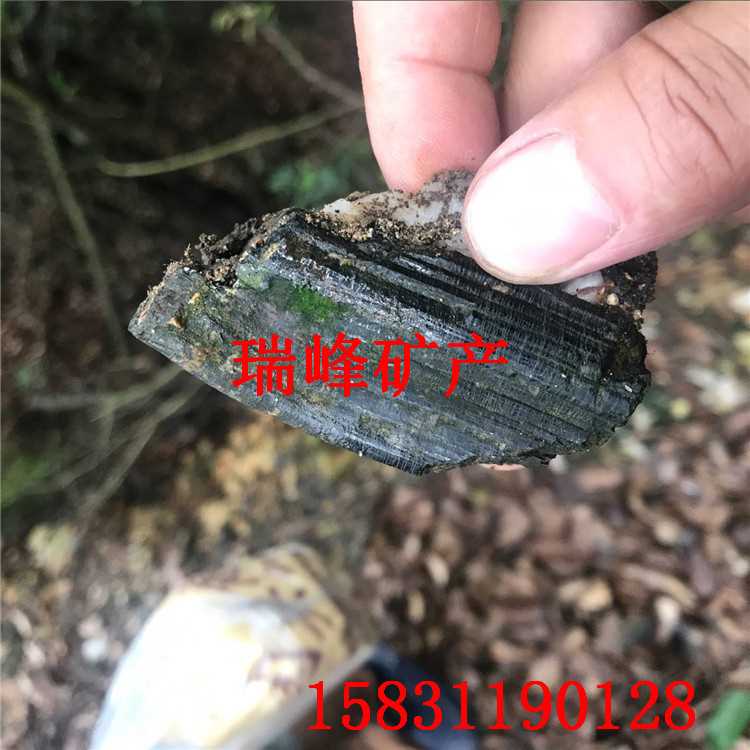 QQ图片20170831124209_副本.jpg