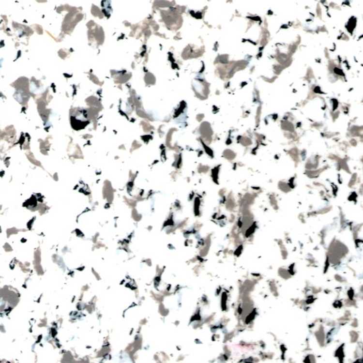 45b141ff10d6262a61bf5f2ca7d5b449.jpg