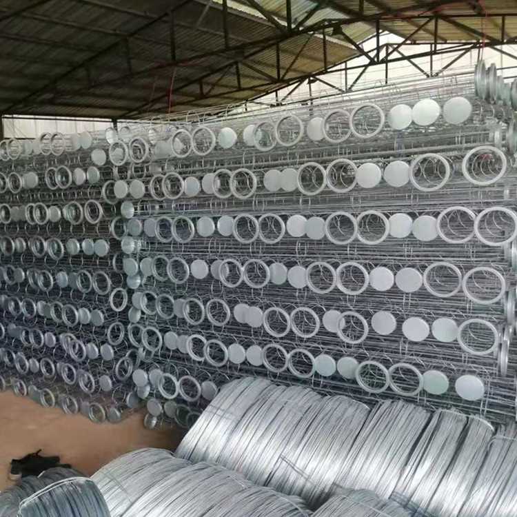 骨架3.jpg 骨架3.jpg