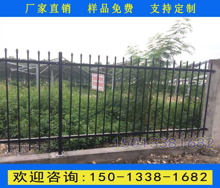 277.jpg 277.jpg