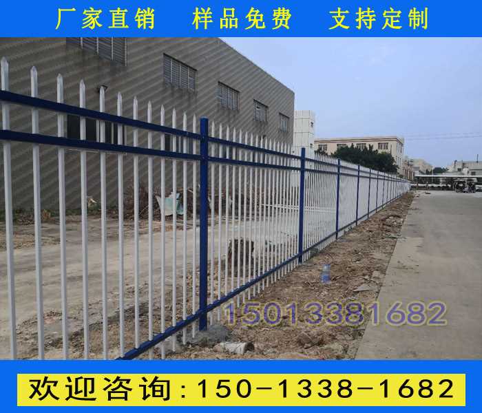 264.jpg 264.jpg