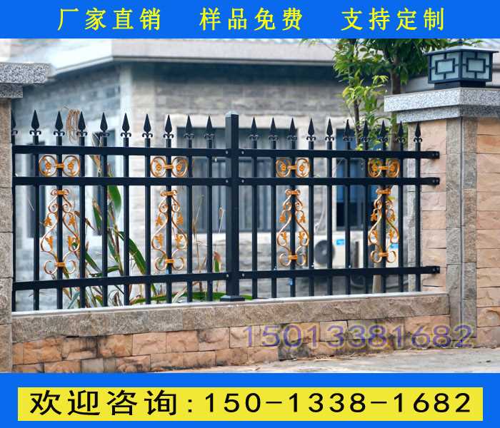 221.jpg 221.jpg