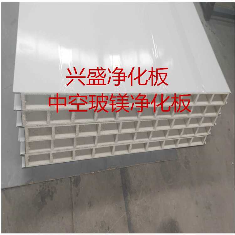 中空玻镁净化板4.jpg
