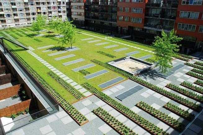 屋顶花园1.jpg 屋顶花园1.jpg