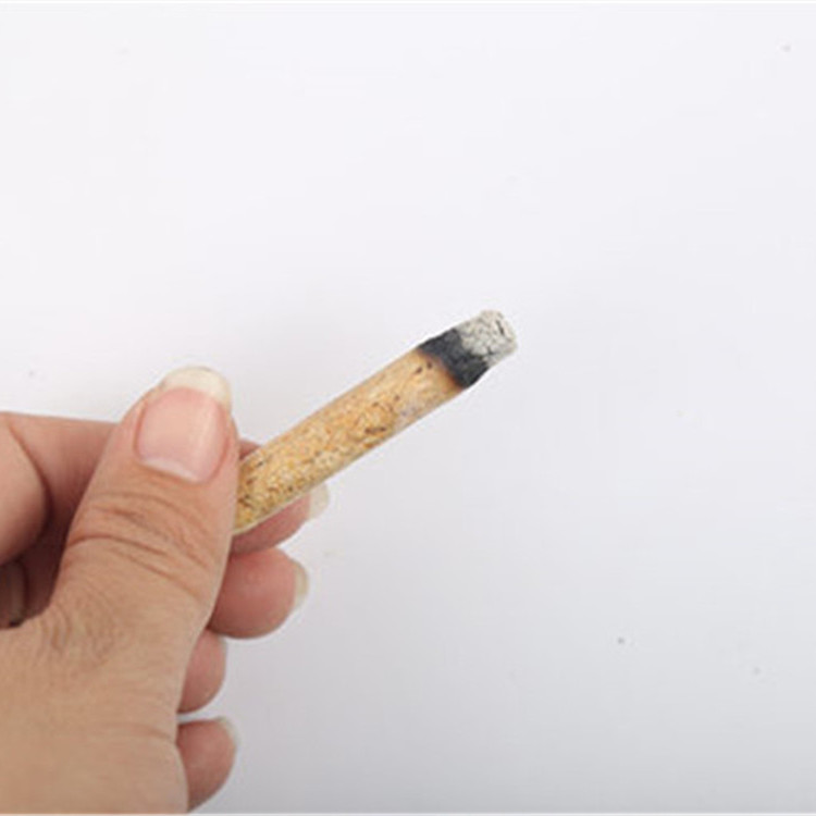 樟子松2.jpg 樟子松2.jpg