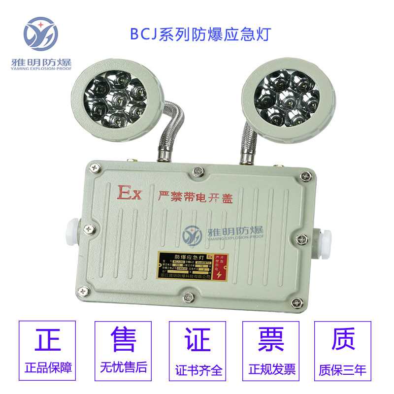 防爆应急灯iib.jpg