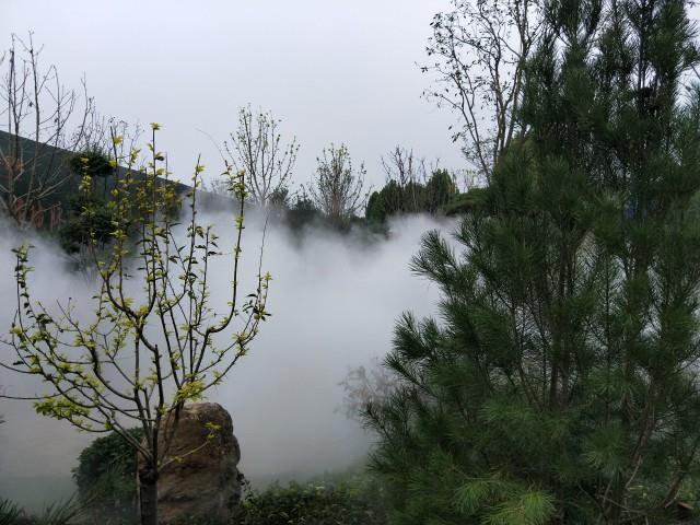 201903231224510930074.jpg 201903231224510930074.jpg