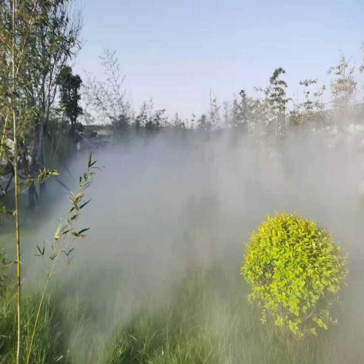 20220401152139406934.jpg 20220401152139406934.jpg