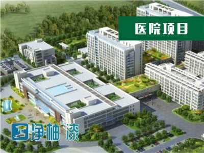 臣工净柚漆自洁涂料高光漆儿童健康宝家装漆纳米油漆