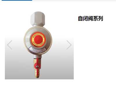 管道燃气自闭阀