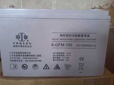 双登蓄电池12V100AH 双登6-GFM-100免维护蓄电池UPS EPS专用