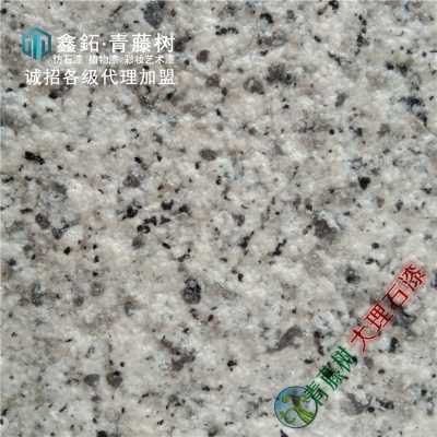 大理石漆仿石漆水包砂水包水涂料广东品牌仿石漆生产厂家直销价格