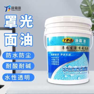 梅州罩光面油 涂霸罩光面油 承接外墙翻新工程