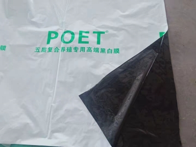 山东黑白膜生产厂家（都有现货）养殖大棚薄膜【全国配送】