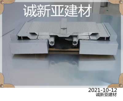 襄阳市  诚新亚不锈钢地面变形缝库存齐全