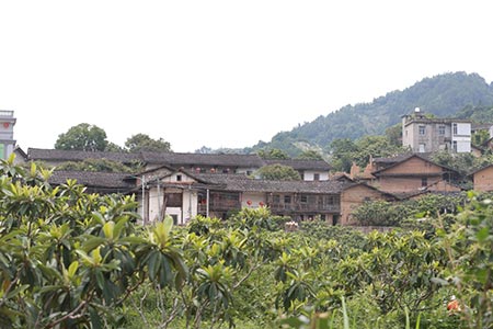 image001.jpg image001.jpg