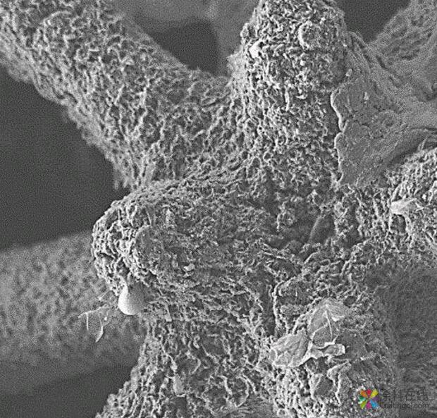 研究人员展示3D打印新工艺：石墨烯气凝胶更精细 涂料在线,coatingol.com