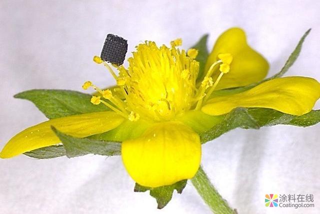 研究人员展示3D打印新工艺：石墨烯气凝胶更精细 涂料在线,coatingol.com