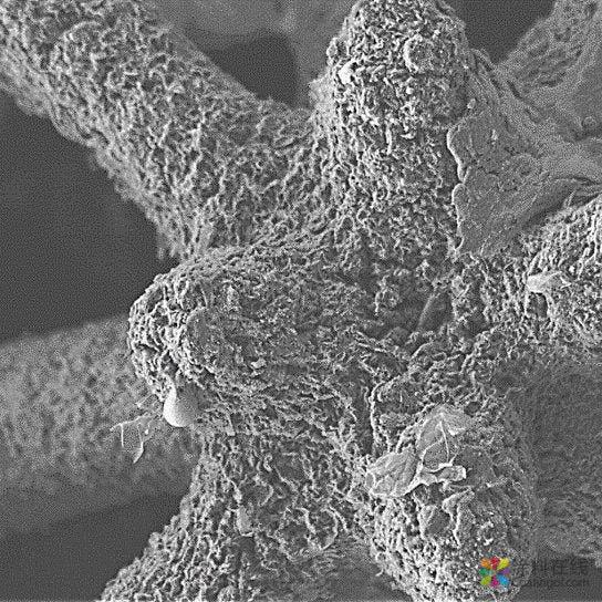 研究人员展示3D打印新工艺：石墨烯气凝胶更精细 涂料在线,coatingol.com