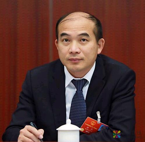 专攻主业 专注绿色创新发展——三棵树的高质量发展之路 中国涂料在线，coatingol.com