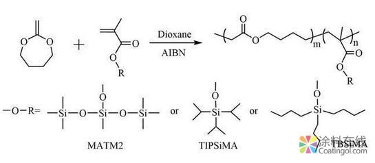 华南理工大学海洋防污涂料关键基础材料研究取得新进展 中国涂料在线，coatingol.com