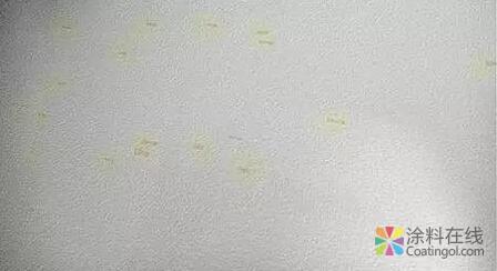 g2.jpg 建筑涂料生的“病” 内墙外墙涂料都会有 中国涂料在线,coatingol.com