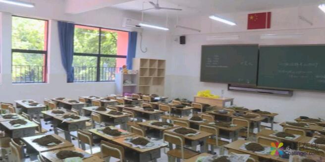 494.jpg 家长质疑南油小学甲醛超标,上不上学陷两难! 中国涂料在线,coatingol.com