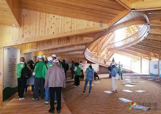 探访公益梭梭林 三棵树绿色大使带你看不一样的阿拉善 中国涂料在线，coatingol.com