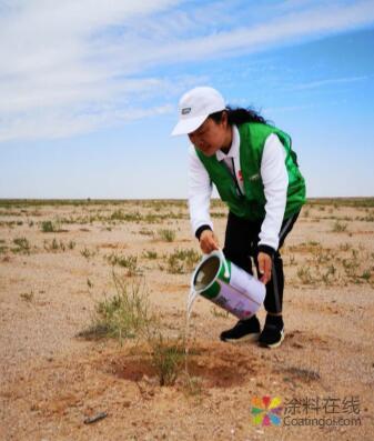 探访公益梭梭林 三棵树绿色大使带你看不一样的阿拉善 中国涂料在线，coatingol.com