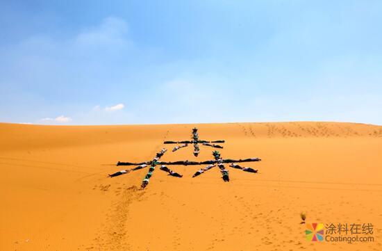 探访公益梭梭林 三棵树绿色大使带你看不一样的阿拉善 中国涂料在线，coatingol.com