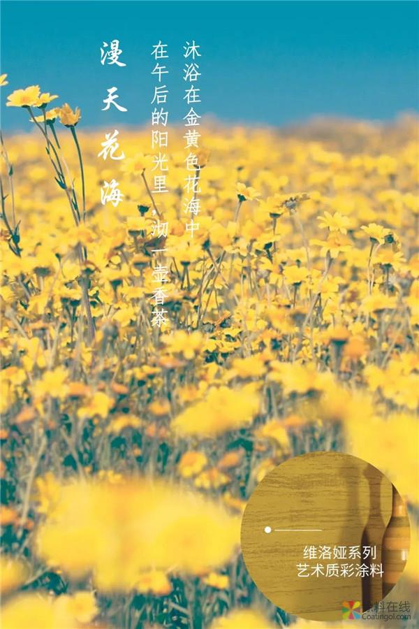 嘉宝莉维洛娅艺术质彩涂料 定格你想要的秋意时光 中国涂料在线，coatingol.com