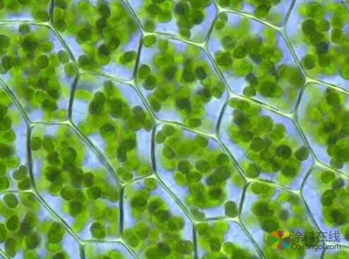 0904.jpg 麻省理工学院工程师研发出新型智能自增强型聚合物材料 中国涂料在线,coatingol.com