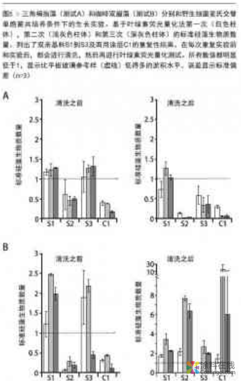 智能基料：为船舶穿上隐形斗篷 中国涂料在线，coatingol.com