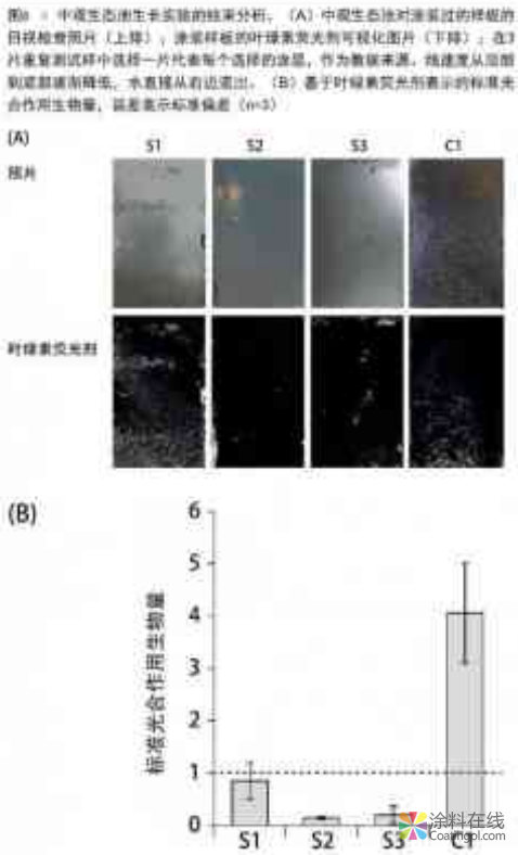 智能基料：为船舶穿上隐形斗篷 中国涂料在线，coatingol.com