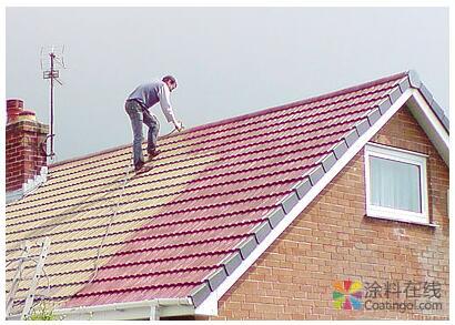 0941.jpg 中国DIY建筑涂料市场:被遗忘的蓝海市场 中国涂料在线,coatingol.com