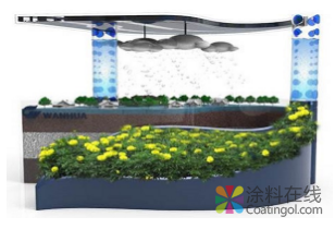 image.png 首届“万华杯