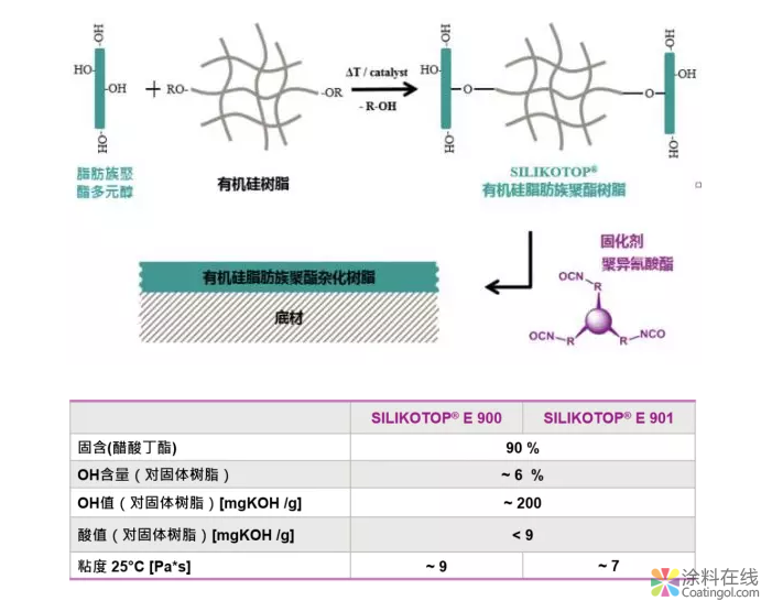 汽车清漆，锦上添花色愈鲜 中国中网信息