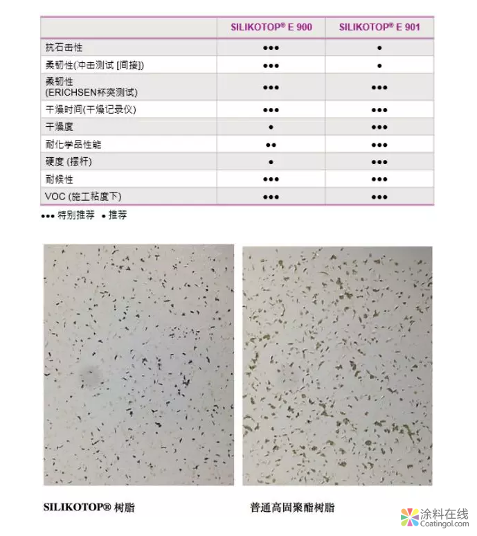 汽车清漆，锦上添花色愈鲜 中国中网信息