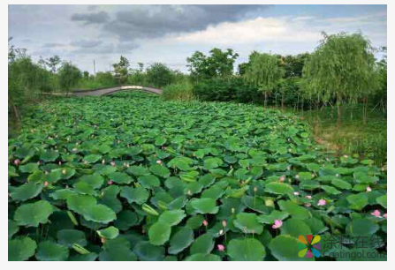 image.png 江苏双乐,1800多万元投入研发!产品远销40多个国家!行业中的龙头企业就是不同寻常! 中国涂料在线,coatingol.com