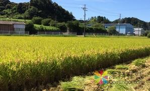 科莱恩耐思特携手：致力于生物聚合物的研发 中国涂料在线，coatingol.com