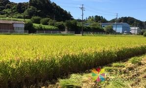 科莱恩耐思特携手：致力于生物聚合物的研发 中国中网信息