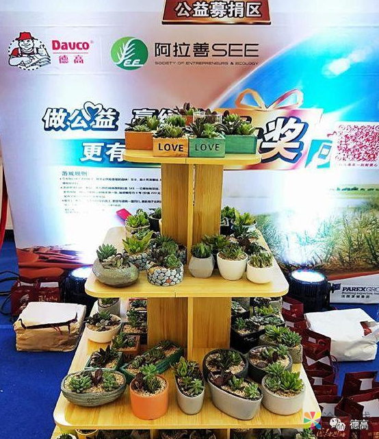 德高好师傅福州站｜这一节贴砖科普课，太有意义 中国涂料在线，coatingol.com