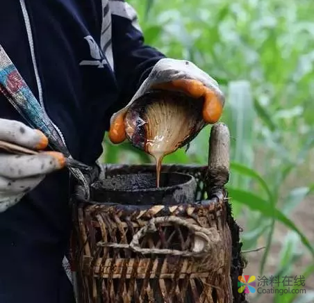 从大漆、桐油到 油漆、水性漆，家具涂料都经历了这些！ 中国涂料在线，coatingol.com