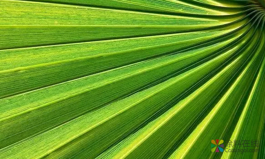 从大漆、桐油到 油漆、水性漆，家具涂料都经历了这些！ 中国涂料在线，coatingol.com